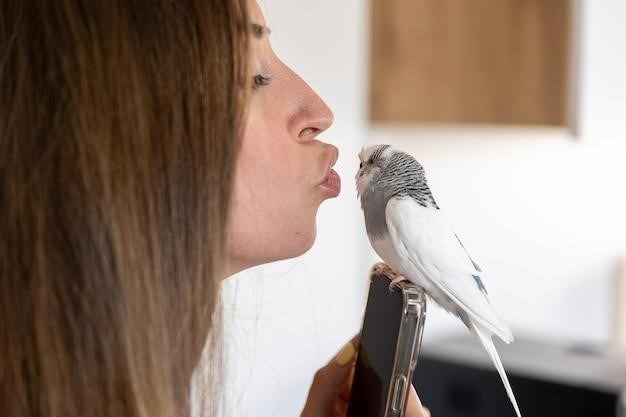 mincing mockingbird guide to troubled birds