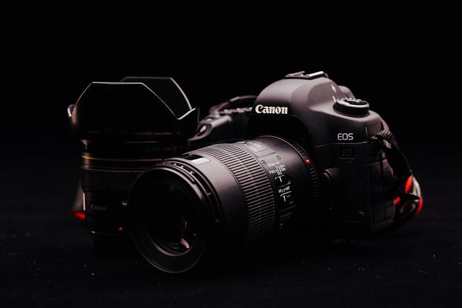 canon sx60 manual