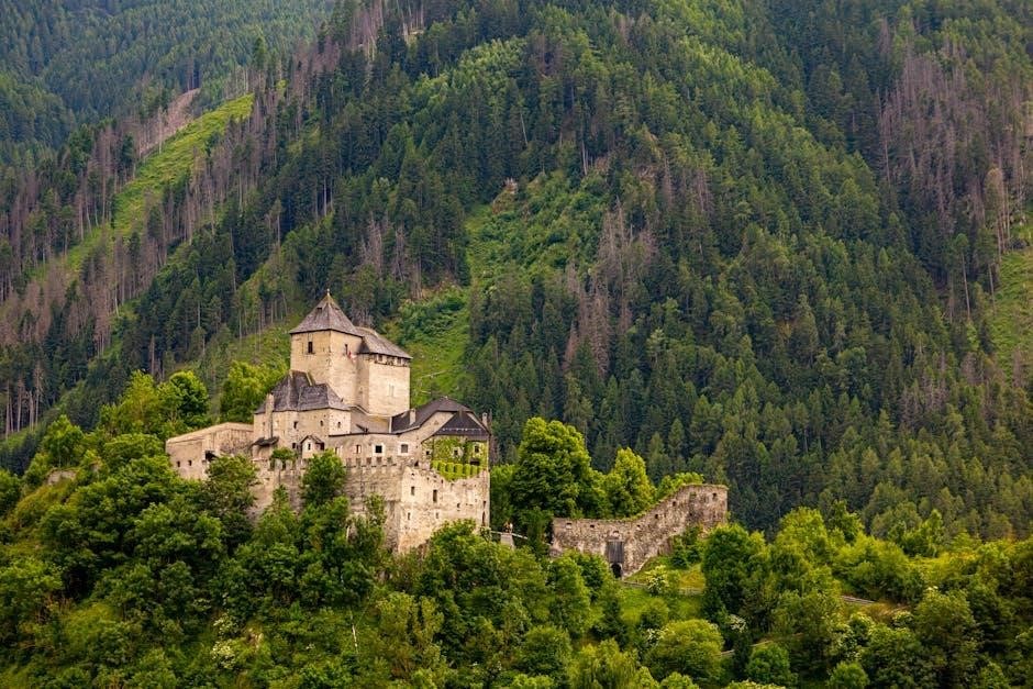 playmobil castle instructions